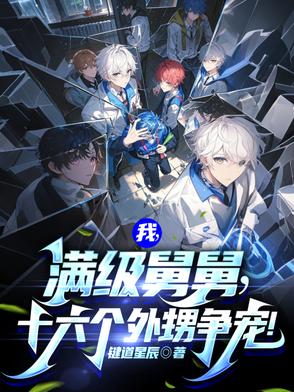 我满级舅舅十六个外甥争宠